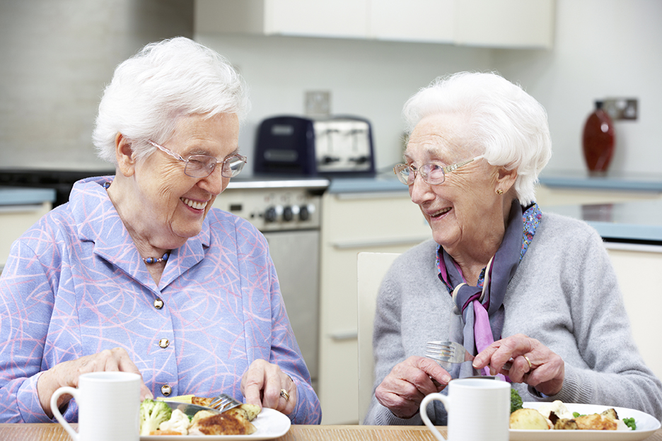 Nutrition in the elderly