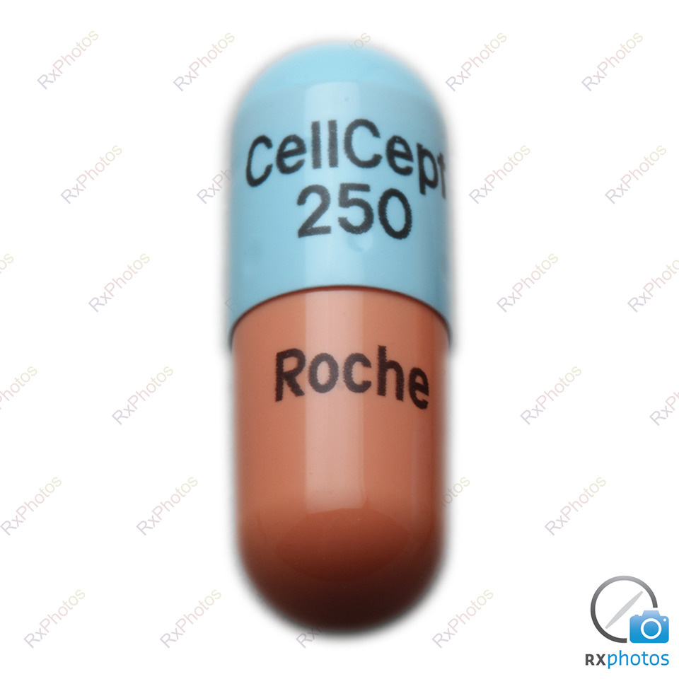 Cellcept capsule 250mg