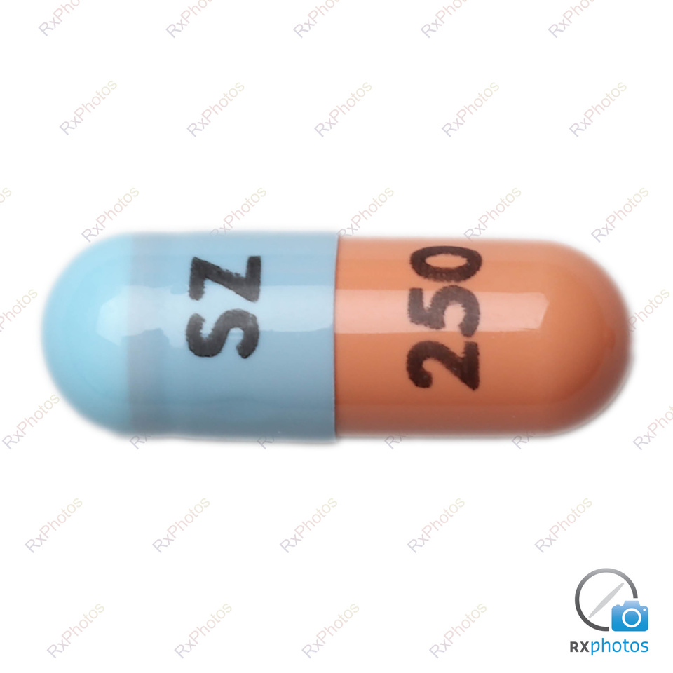 Mycophenolate Mofetil capsule 250mg