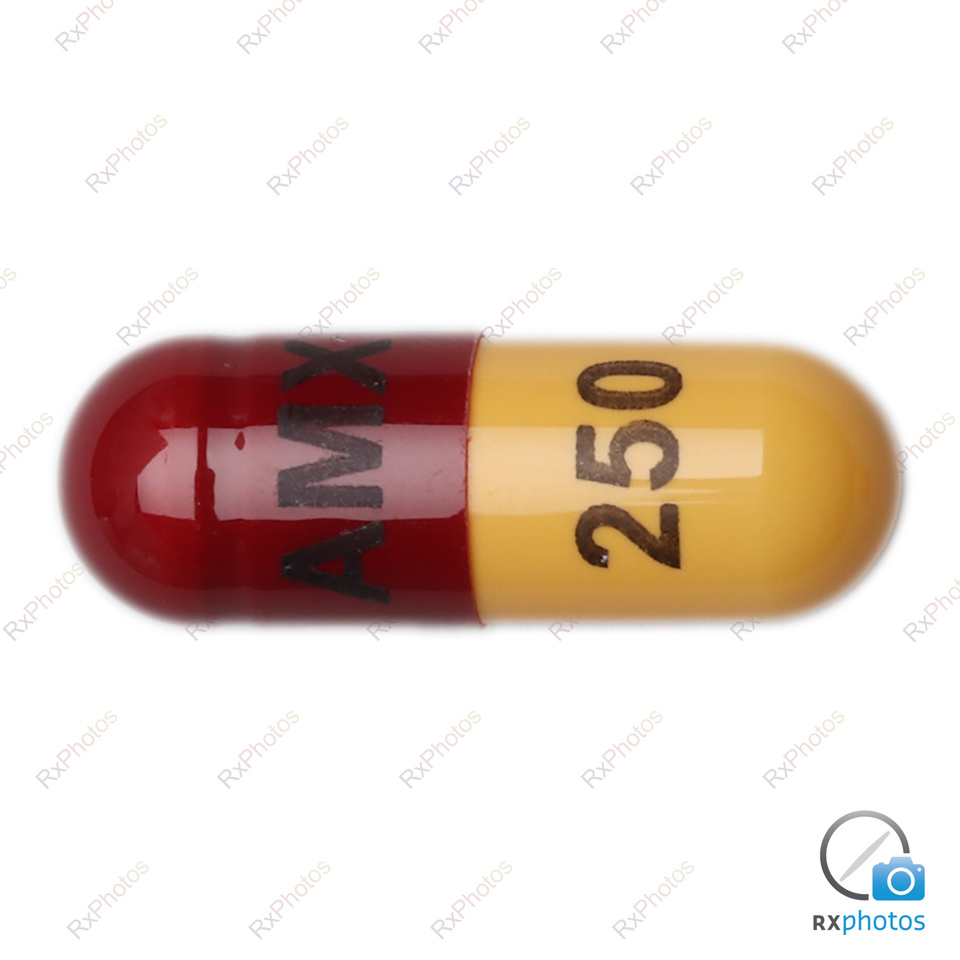 Amoxicillin capsule 250mg