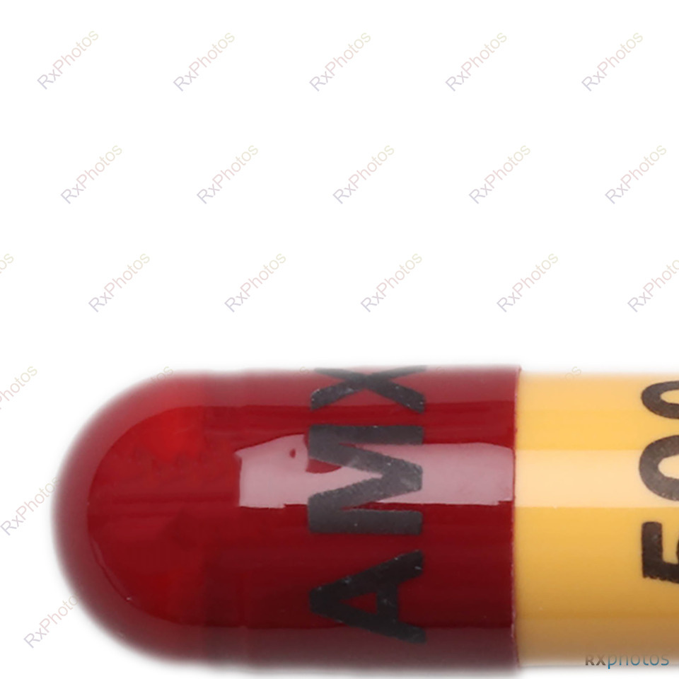 Amoxicillin capsule 500mg