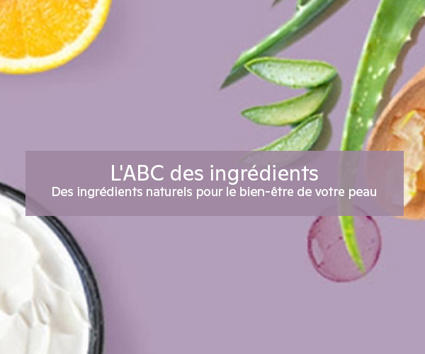 L'ABC des ingrédients