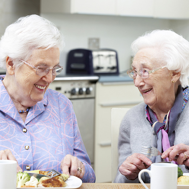 Nutrition in the elderly