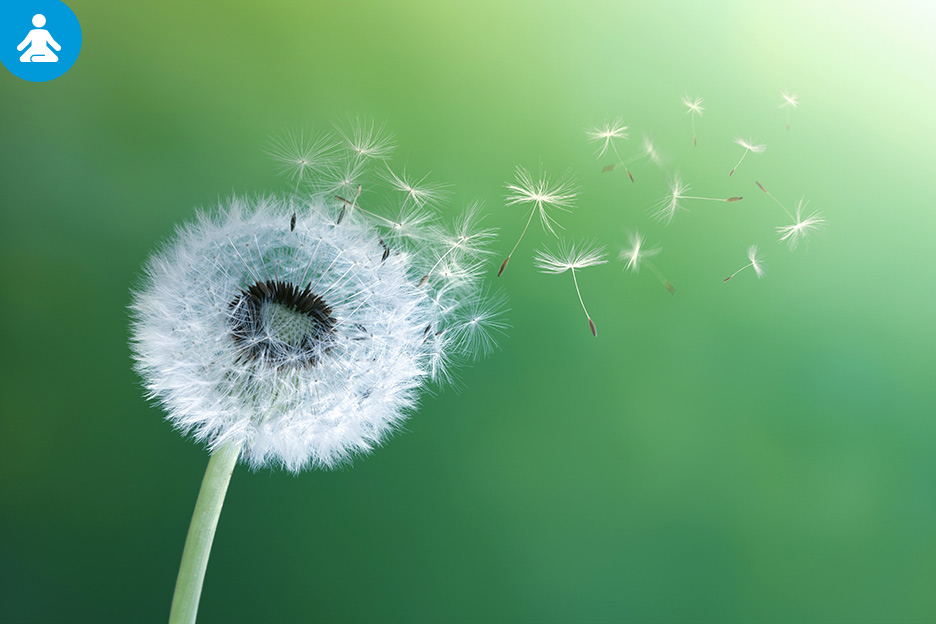 Bien choisir sa médication pour les allergies saisonnières