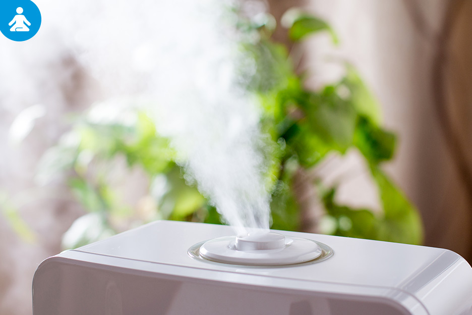 Choisir le bon humidificateur