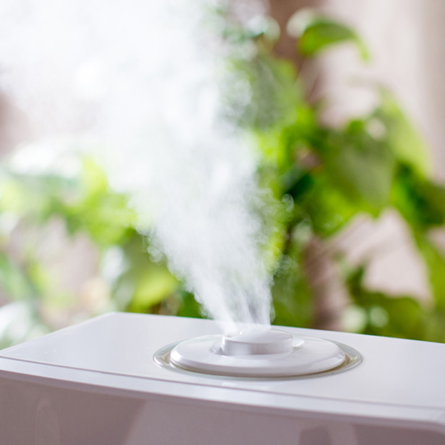 A close look at 4 types of humidifiers