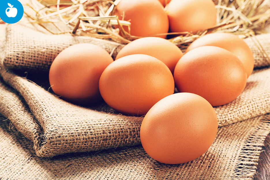 « Doit-on bannir l’œuf de notre alimentation ? »