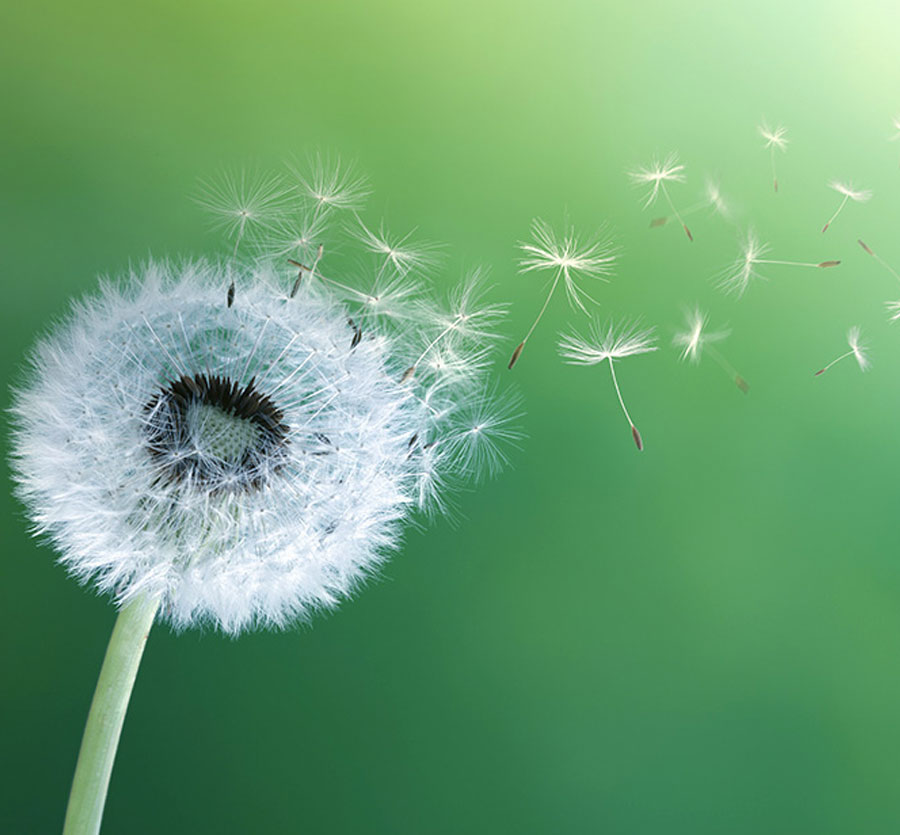 Bien choisir sa medication pour les allergies