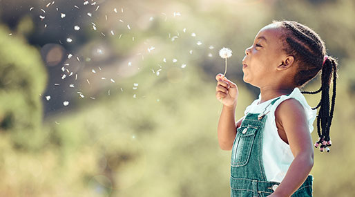 In allergy territory